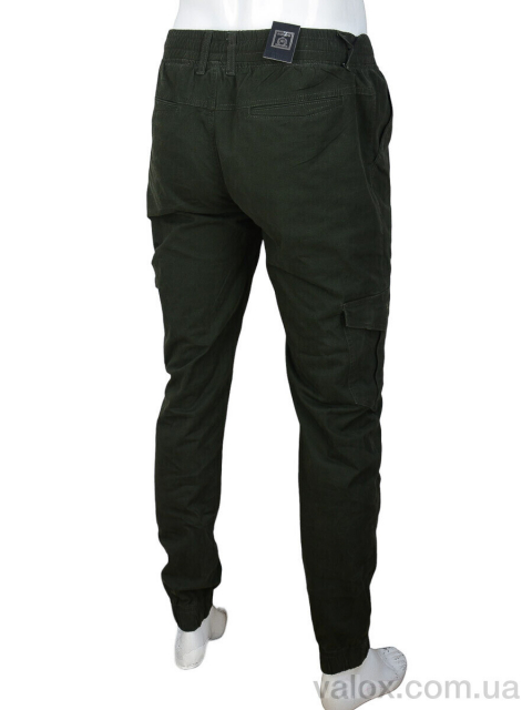 Чоловічі брюки (8523-4 green)